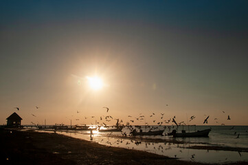 Silhouette of seagulls in flight at sunset on a beach on Holbox Island in Mexico. In the background the fishermen's pier and the sun on the horizon.