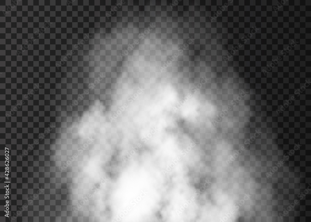 Realistic Fog Smoke Vape Cloud Effect Isolated Transparent Background Shapes Powder cigarette waves Wind. - obrazy, fototapety, plakaty 