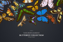 Design On Dark Background With Ambulyx Moth, Madagascan Sunset Moth, Forest Mother-of-pearl, Great Orange-tip, Emerald Swallowtail, Plain Tiger, Rajah Brooke S Birdwing, Papilio Torquatus