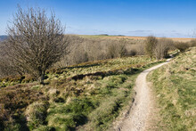 View Of The Cleveland Way Footpath At Sutton Bank, North Yorkshire, England, UK.