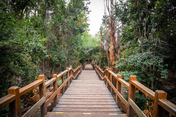 Stairs of the Arrayanes Forest promenade on Victoria Island, Villa La Angostura, Patagonia, Argentina.