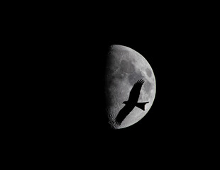 kite and moon