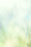 Fototapeta  - Artistic natural blurred green, blue and white background