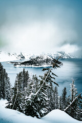 Sticker - Vertical shot of frozen water surrounded by trees on the foggy sky background