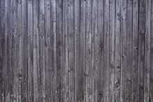 Background Texture. Aged Gray Plank Surface With Nails And Moss. Copy Space