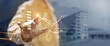© ipopba - Businessman hand touching and analysing banking and investment growth graph to develop smart financial decision for business plan strategy in expand business and increase sale profit.