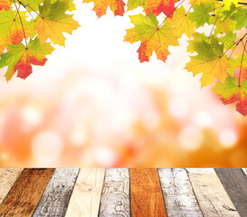 Poster - Vintage wooden table top and maple leaves on blurred autumn backdrop