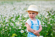 A Child In A Straw Hat In Daisy Flowers In A Field In Summer At Sunset. A Blue-eyed And Fair-haired Disgruntled Boy Stands In A Flowery Meadow With Chamomile Flowers.