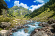 © Kunal - Mountain river in the mountains. The beautiful river flowing between alpine meadows in the lap of Himalaya, Parvati valley, trek to Hamta Pass, 4270 m in Parvati valley in Himalaya, India.