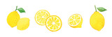 Fototapeta Kosmos - レモンの水彩イラスト