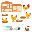 vector set of illustrations on the theme of chickens on a farm isolated on a white background