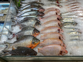 Wall Mural - Assortment of raw fish on frozen ice at supermarket 