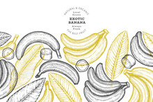 Hand Drawn Sketch Style Banana Banner. Organic Fresh Fruit Vector Illustration. Retro Exotic Fruit Design Template