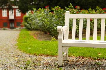 bench in the park