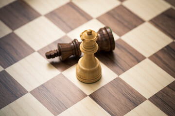 Chess game: the king is checkmated