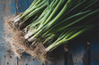© Mint Images - High angle close up of bunches of freshly picked spring onions.
