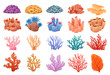 Collection of colored corals of different shapes, coral reef.