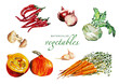 Set frisches Gemüse. Food Aquarell Illustration. Watercolor illustration. Fresh vegetables. Isoliert auf weißem Hintergrund. 