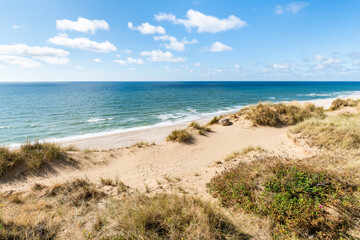 Wall Mural - sand dunes near the rotes kliff (red cliff) on sylt, schleswig-holstein, germany