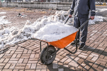 Snow is taken out on a hand wheelbarrow