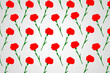 25 of April the Portugal freedom day illustration with clove. 50 Years of Revolution of the Carnations background poster, banner or card. Translation: 