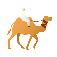 bedouin in camel