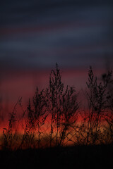 Pink sky after sunset. Red clouds in the light of the sunset.