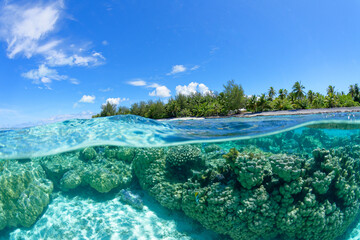 Wall Mural -  lagon translucide de Bora Bora, Polynesie francaise