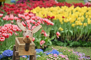 Wall Mural - Shilin Residence, Shilin, Taipei City, Taiwan - March 04, 2021: Shilin Residence Tulip Festival. Blooming freshness vibrant romantic beautiful colorful tulips mixed sorts during the tulip festival.