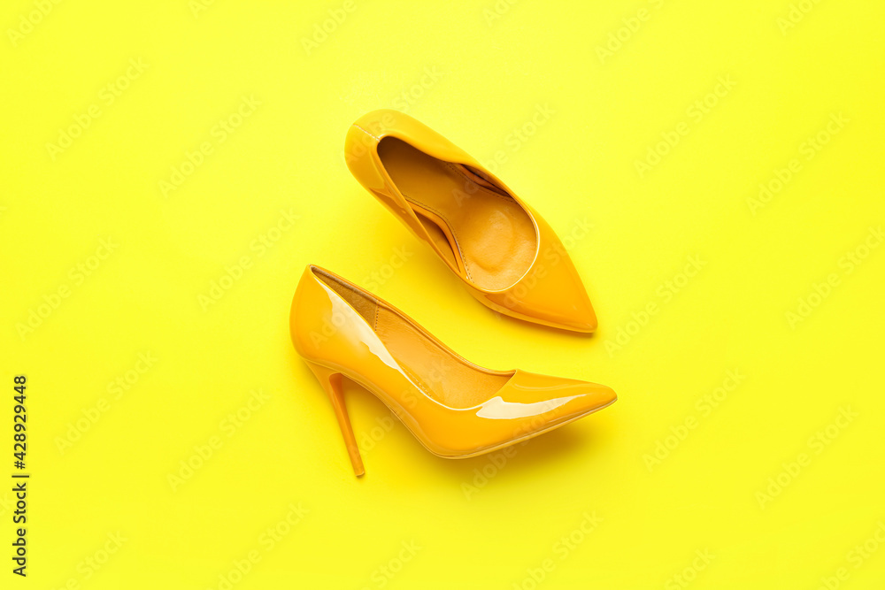 Stylish female shoes on color background
