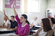 © liderina - Smart students.  Teenagers students sitting in the classroom raise hands. Portrait of student girl.