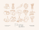 Fototapeta Boho - Set of hand drawn line art illustrations of food, vegetables. Suit to brand identity, logo design