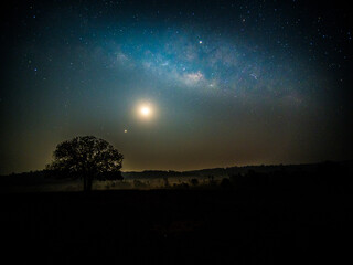 Starry sky with blue Milky Way. Night landscape with alone tree on the mountain peak against colorful milky way. Amazing galaxy. Nature background with beautiful universe. Astrophotography