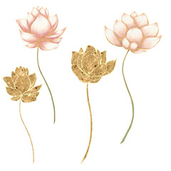 Wall Mural - Pink and gold lotus flowers, wedding design elements, spa logo design elements