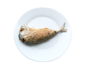 Fried mackerel in white plate Isolated on white background.