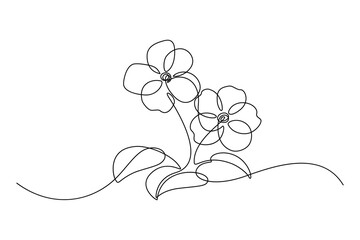 african violet in continuous line art drawing style. saintpaulia flowering plant black linear sketch