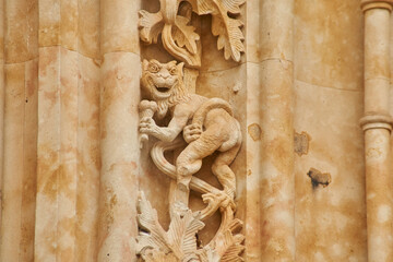 Detalles de los monumentos de salamanca.