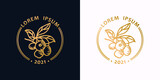 Fototapeta  - Blueberries and leaves. Logo design template. Round gold emblem in a line style.