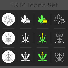 Intolerance For Allergen Dark Theme Icons Set. Castor Bean. Timothy Grass. Flower Pollen. Common Reason For Allergy. Linear White, Solid Glyph And RGB Color Styles. Isolated Vector Illustrations