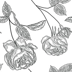 Wall Mural - Hand drawn seamless pattern with roses flowers, herbs