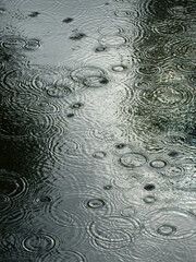 Poster - water drop of rain falling with ripple on the water