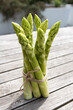Tied fresh green asparagus on gray rustic wooden planks. Vertical close-up for a seasonal gastronomy background.