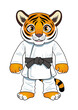 karate tiger kid cartoon isolated on white background