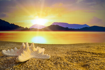 Poster - Sunset Starfish on the beach