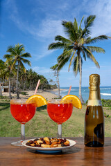 cocktail for two with snacks and wine and orange slices with a panoramic view of the tropical sea