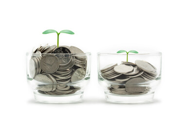 Two glasses jar, a lot of coins and tree growing on top, business concept, recovery, revival, thinking to keep money, home, education on white background.