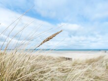 Baltic Sea Dunes Over Blue Coastline Background