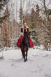© FO_DE - A girl in a beautiful old-fashioned burgundy dress on a horse .