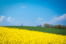 Rapeseed Field, Trees, And A Cross In Grassland On A Cloudy Day