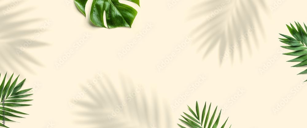 Tropical palm leaves, Monstera leaf and shadows plant on light background. Minimal Summer concept, flat lay, top view - obrazy, fototapety, plakaty 